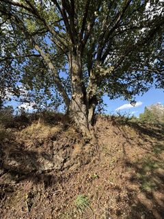 Photo de Matthias Stanzeit le long du parcours