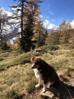 Foto von Werner Ausserwinkler entlang der Tour