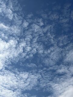 Foto van Gx Px langs de tour