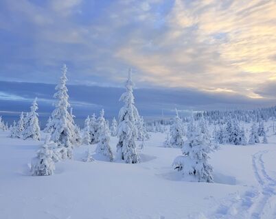 Foto von Natur_erleben_dg entlang der Tour