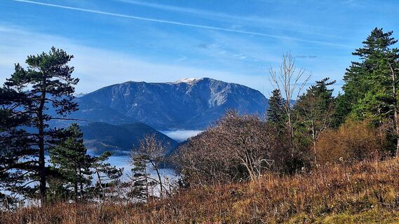 Zdjęcie z Regina Fleischmann wzdłuż trasy