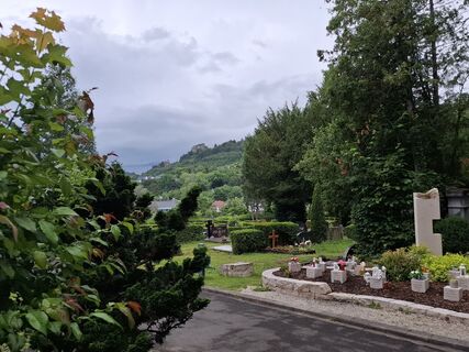 Foto von nordbergschnecke entlang der Tour