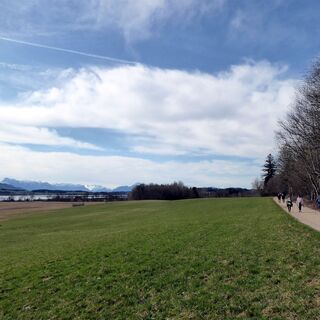 Der sonnige Weg nähert sich der Wallersee-Ostbucht.