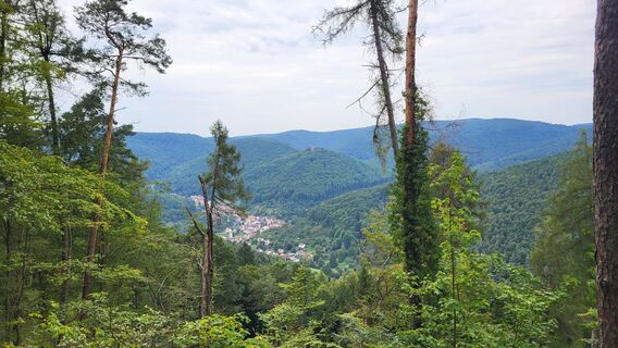 Photo de Sebastian le long du parcours