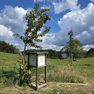 Fotó a Pfalzi honlapról a túra során