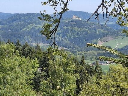 Foto von Tatjana Pachinger 1 entlang der Tour