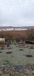 Blick auf Besigheim