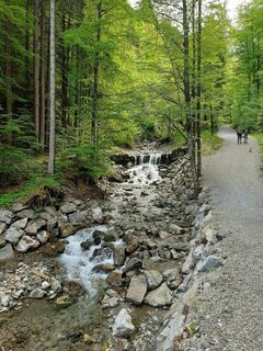 Foto von wanderheld_2468 entlang der Tour