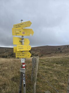 Fotografie z safermanu na trase
