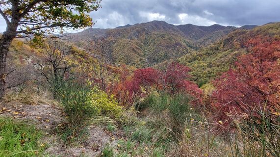 Fotografija s spletne strani Marco pizziolo na poti