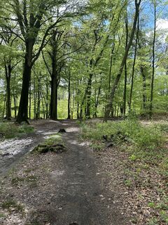 Fotografia z Thorsten Strüver na trase