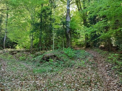 Weg Nr. 2 nach der Bergwiese, rechts hoch