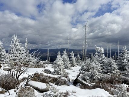 Fotografija s spletne strani Natur_erleben_dg na poti