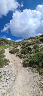 Photo de Martina Oitzinger le long du parcours