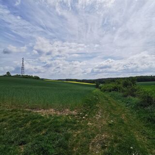 Zwischen Gutendorf und Meckfeld