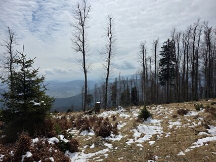 Fotografija s spletne strani Helmut Neuhold na poti