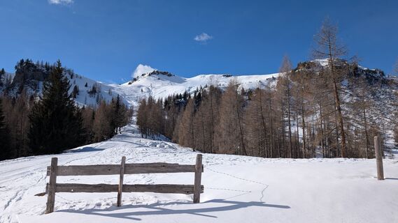 Photo de Pfefferam le long du parcours