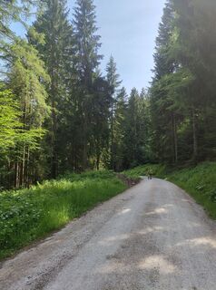 Fotografija s spletne strani Florian Eglseder na poti