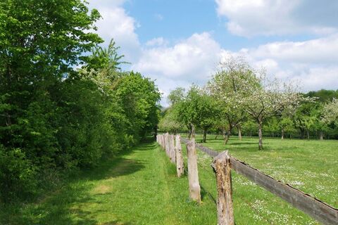Streuobstwiese am Schmandberg