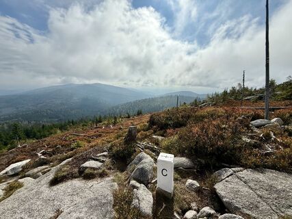 Photo de Dani Geiger / Natur_erleben_dg le long du parcours
