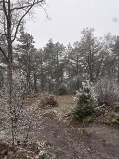 Foto von Felix Rietz entlang der Tour