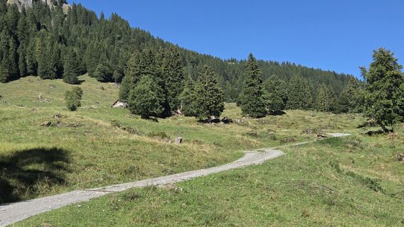 Foto de V Feurstein a lo largo del recorrido