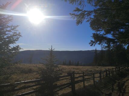 Fotografia z Ric Hard na trase