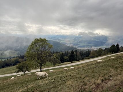 Foto von Hans Peter Gröchenig entlang der Tour
