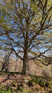 Photo de Richard Schwald le long du parcours