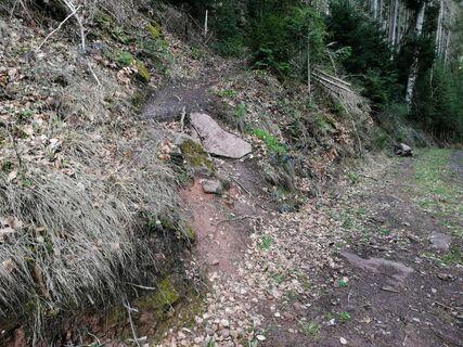 Uhlandshöhe-Trail