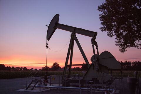 Ölnicker bei Sonnenuntergang im Rühlermoor
