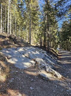 Fotografie z Nedžad Jušić na trase