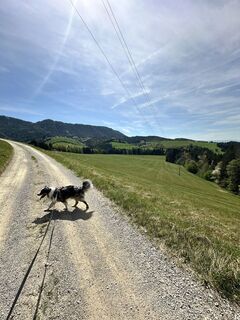 Foto de Christopher Preininger a lo largo del recorrido