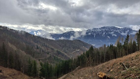 Fotografie z Eva Hebesberger na trase