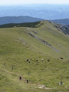 Photo de Marcus Krenn le long du parcours