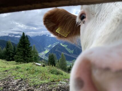 Fotó a Koen De Wit honlapról a túra során