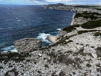 Photo de Dominique piermay le long du parcours