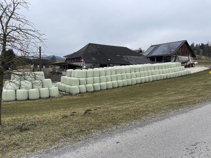 Fotografia z Wolfgang Bauer 8 na trase