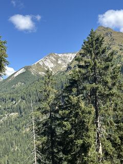 Fotografia z Ottmar Henne na trase