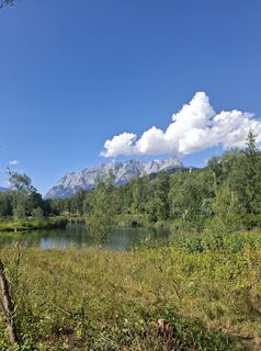 Foto von Mangolein entlang der Tour