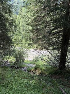 Foto de Hjalmar Hoekema a lo largo del recorrido