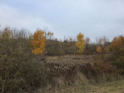 Photo de DieTutnixe le long du parcours