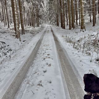 Karte