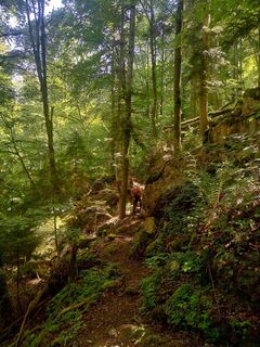 Foto da Robert Müller lungo il tour