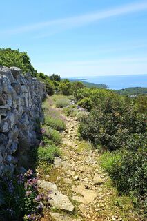 Fotografija s spletne strani Grieshofer Gerlinde na poti