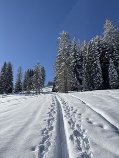 Foto von Heinz Sperl entlang der Tour
