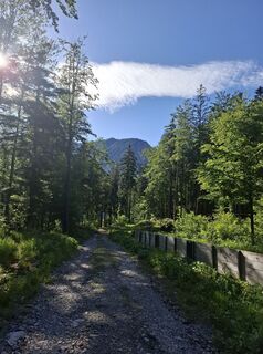 Photo de Miha Gros le long du parcours