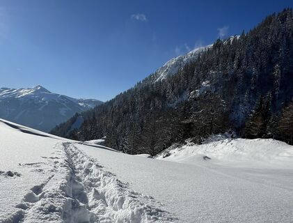 Aufstieg Höslalmen Schneeschuhtour Hösljoch
