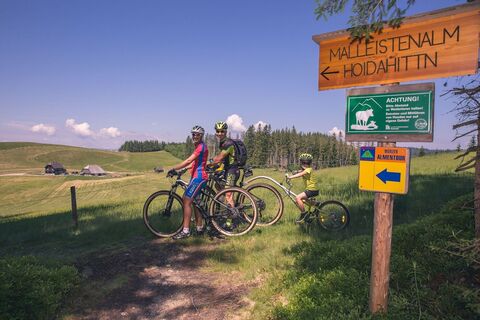 Auf der Malleistenalm lädt die Halterhütte zur Rast ein.