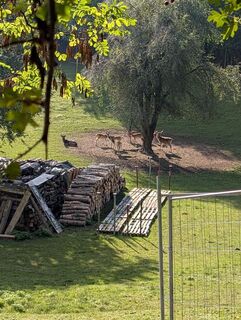 Zdjęcie z Weggefährtin wzdłuż trasy
